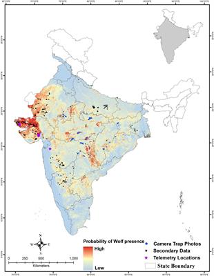 Distribution, Status, and Conservation of the Indian Peninsular Wolf